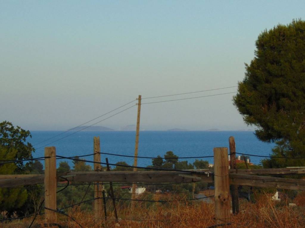 410 acres one-piece plot, 150 meters from famous beach,