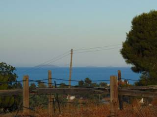 410 acres one-piece plot, 150 meters from famous beach,