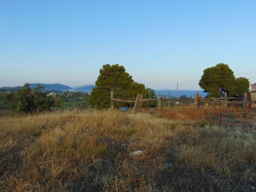 410 acres one-piece plot, 150 meters from famous beach,