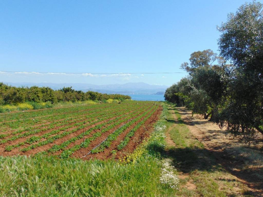 a coastal plot of land is for sale