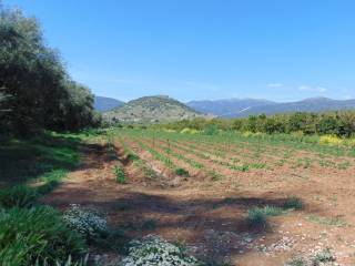 a coastal plot of land is for sale