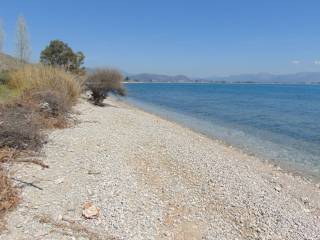 a coastal plot of land is for sale