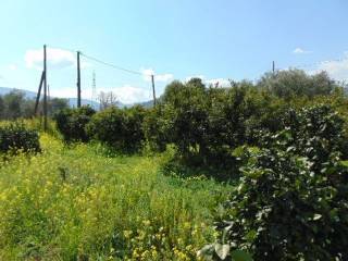 In the suburb of Nafplio sold land buildable 8.500 sq.m