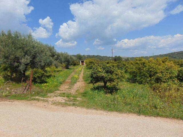 In the suburb of Nafplio sold land buildable 8.500 sq.m