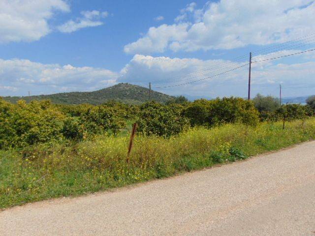 In the suburb of Nafplio sold land buildable 8.500 sq.m