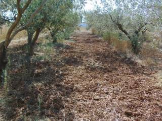 detached house in suburb of Nafplio