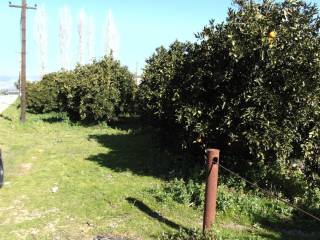 next to a main street of great commercial value, a parcel of