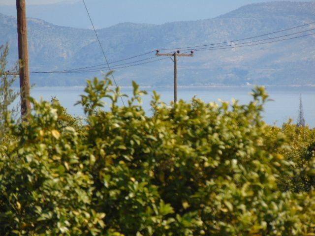 In the suburb of Nafplio are for sale buildable  plot 4,500