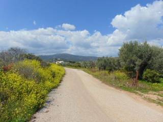 In the suburb of Nafplio are for sale buildable  plot 4,500