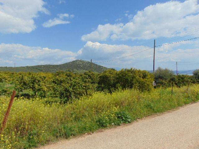 In the suburb of Nafplio are for sale buildable  plot 4,500