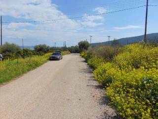 In the suburb of Nafplio are for sale buildable  plot 4,500