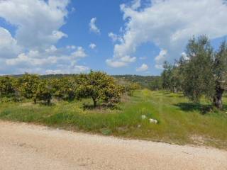 In the suburb of Nafplio are for sale buildable  plot 4,500