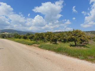 In the suburb of Nafplio are for sale buildable  plot 4,500