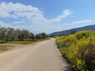 In the suburb of Nafplio are for sale buildable  plot 4,500