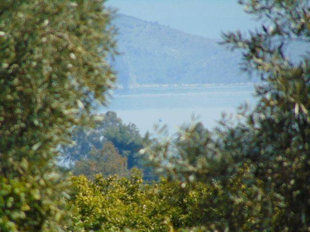 In the suburb of Nafplio are for sale buildable  plot 4,500