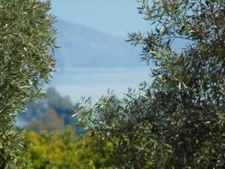 In the suburb of Nafplio are for sale buildable  plot 4,500