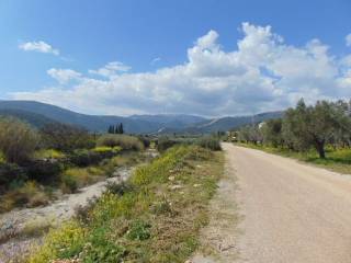 In the suburb of Nafplio are for sale buildable  plot 4,500