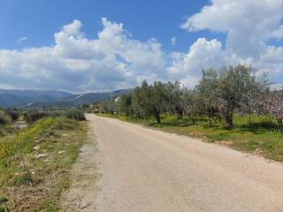 In the suburb of Nafplio are for sale buildable  plot 4,500