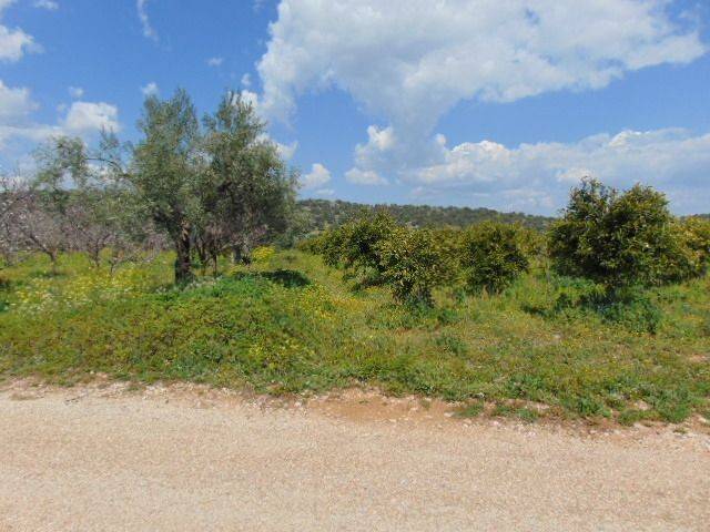 In the suburb of Nafplio are for sale buildable  plot 4,500