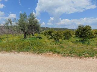 In the suburb of Nafplio are for sale buildable  plot 4,500