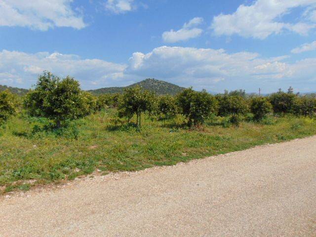 In the suburb of Nafplio are for sale buildable  plot 4,500