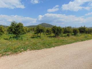 In the suburb of Nafplio are for sale buildable  plot 4,500