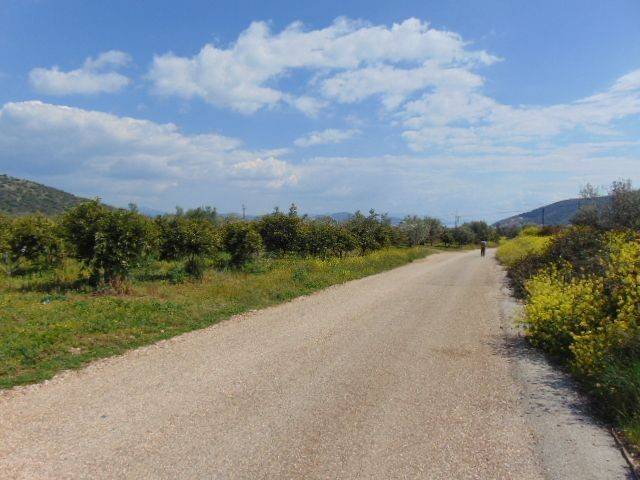 In the suburb of Nafplio are for sale buildable  plot 4,500