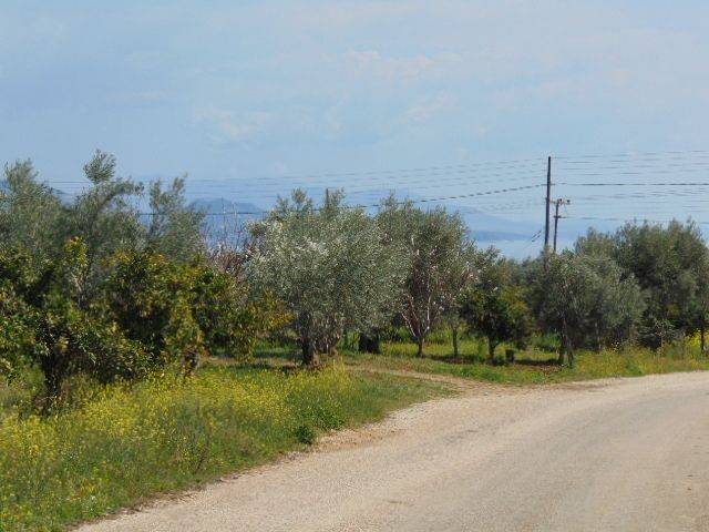 In the suburb of Nafplio are for sale buildable  plot 4,500