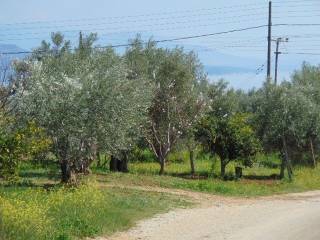 In the suburb of Nafplio are for sale buildable  plot 4,500