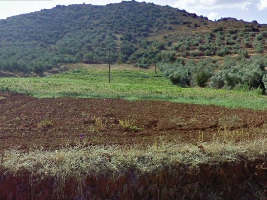 Land for sale of 10 acres with drilling