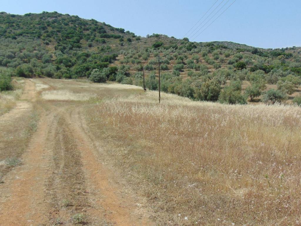 Land for sale of 10 acres with drilling