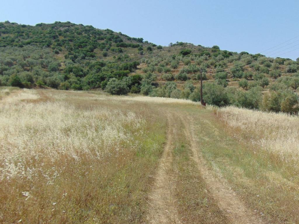 Land for sale of 10 acres with drilling