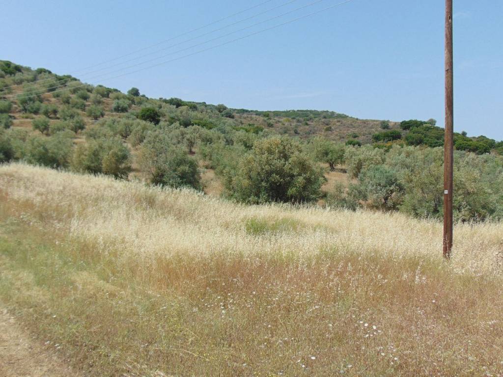 Land for sale of 10 acres with drilling