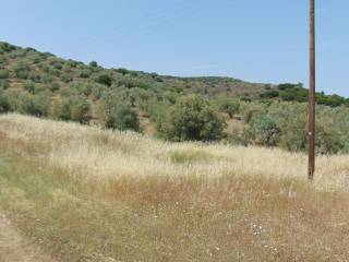 Land for sale of 10 acres with drilling