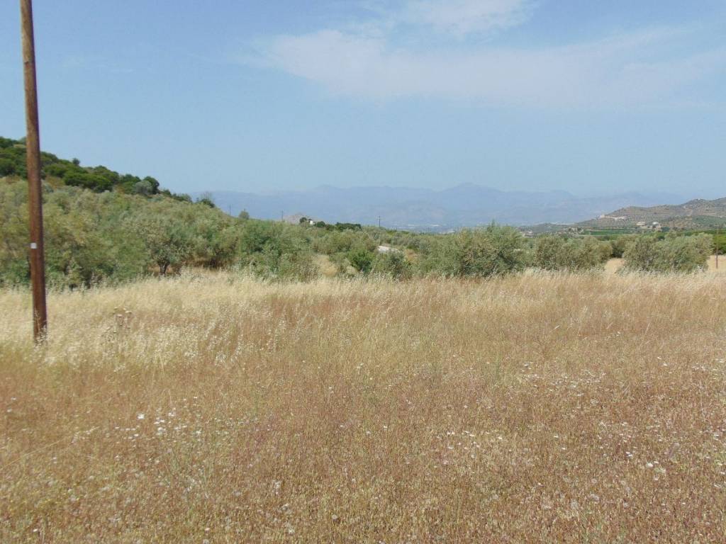 Land for sale of 10 acres with drilling