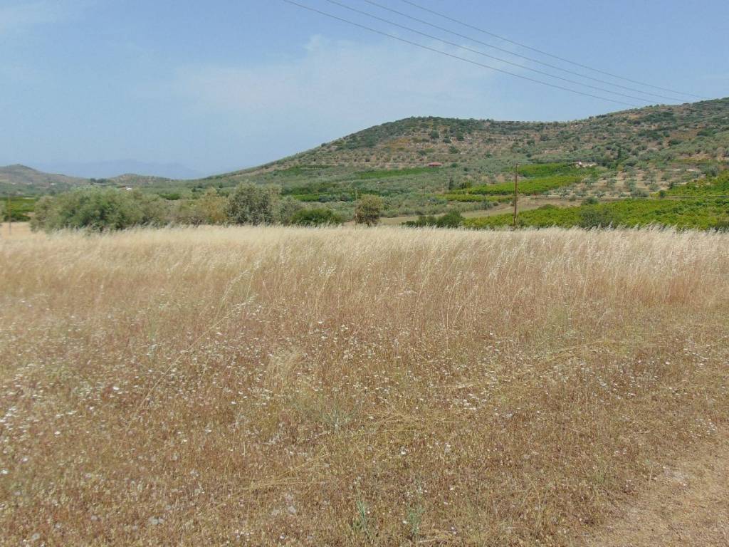 Land for sale of 10 acres with drilling