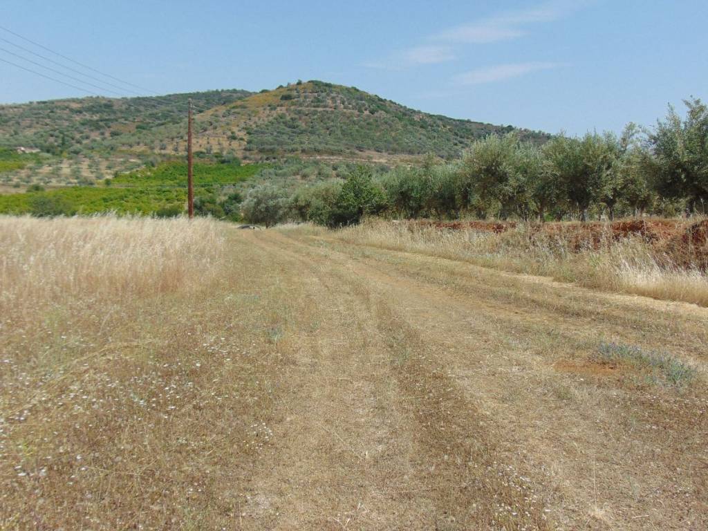 Land for sale of 10 acres with drilling