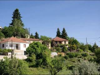 Sale Detached House 130 m² in  Kato Sinoikia Trikalon