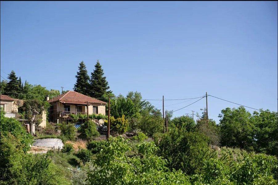 Sale Detached House 130 m² in  Kato Sinoikia Trikalon