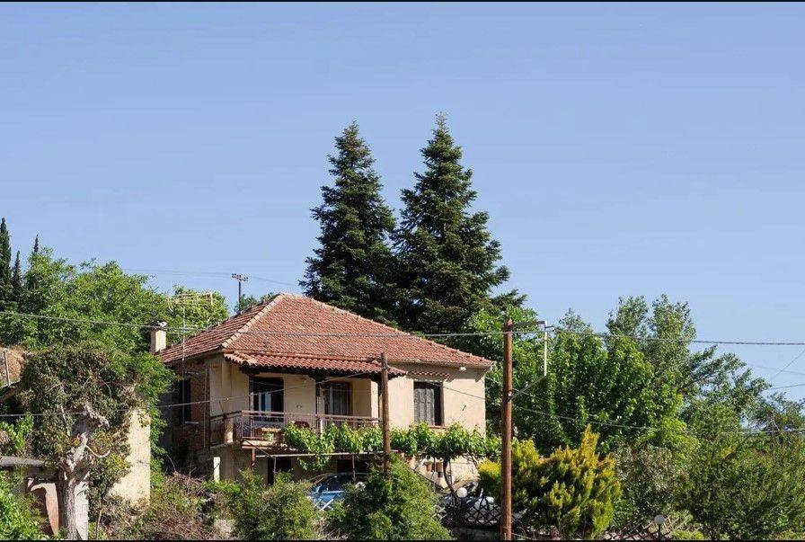 Sale Detached House 130 m² in  Kato Sinoikia Trikalon