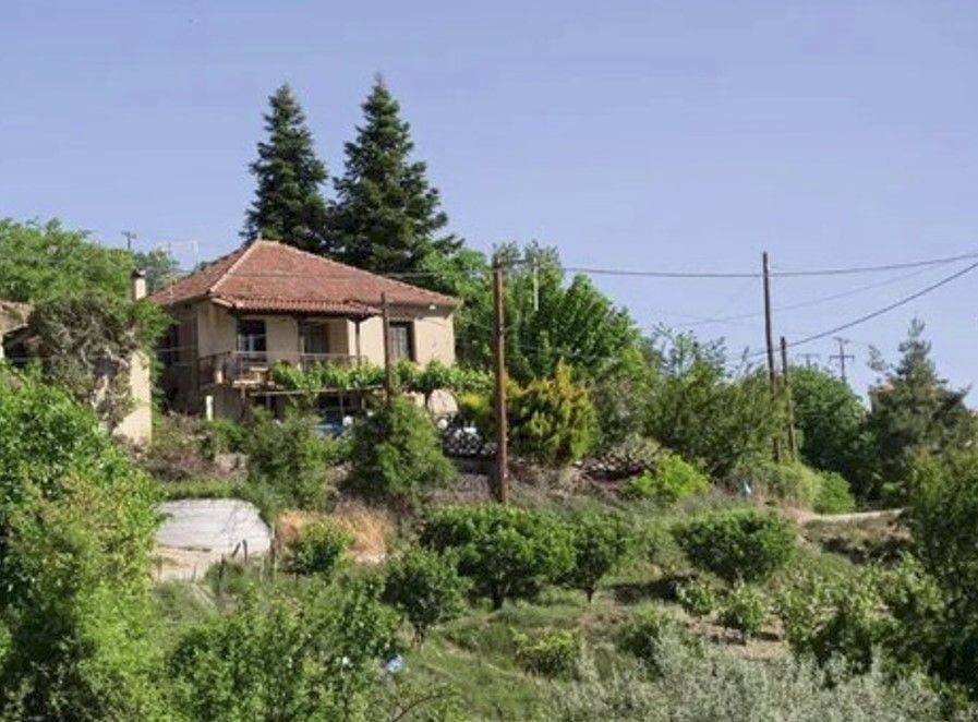 Sale Detached House 130 m² in  Kato Sinoikia Trikalon