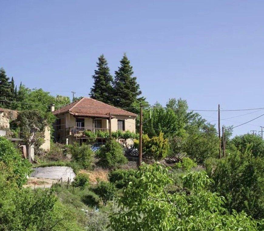 Sale Detached House 130 m² in  Kato Sinoikia Trikalon