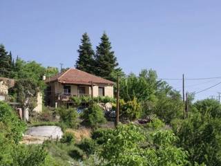 Sale Detached House 130 m² in  Kato Sinoikia Trikalon