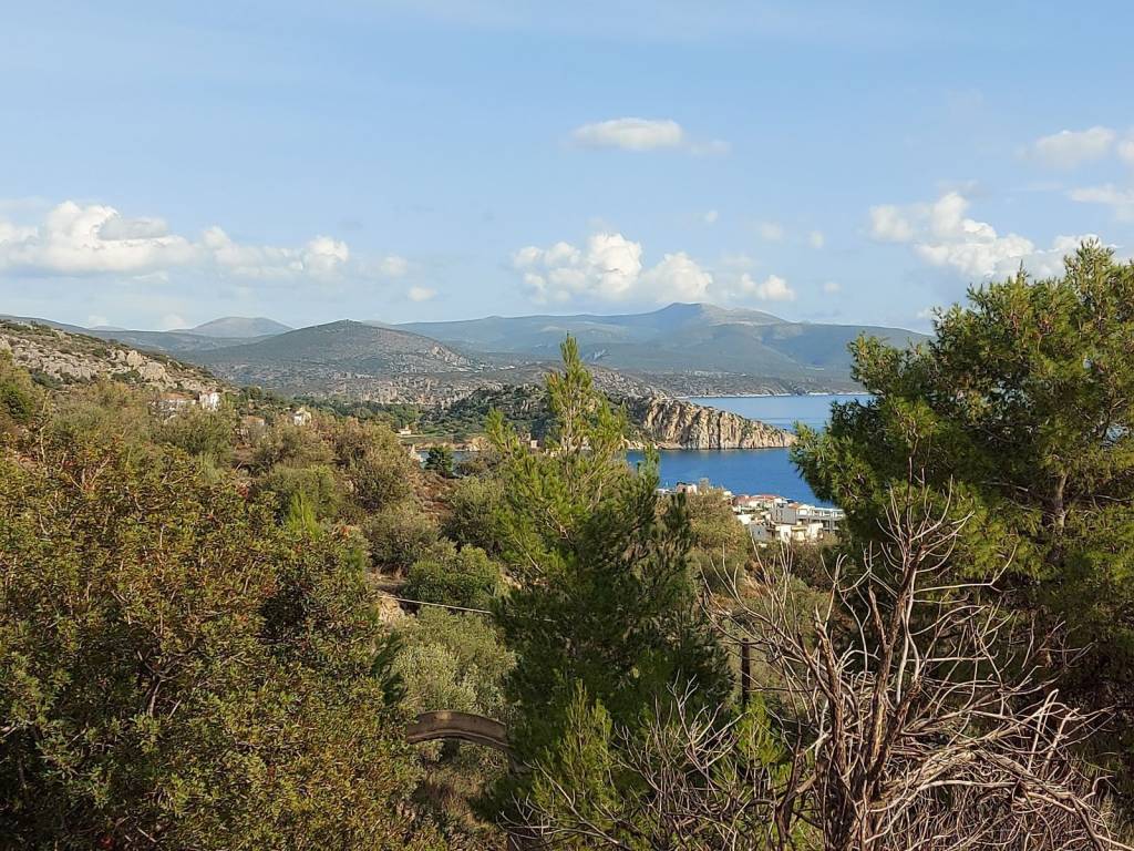 for sale a hotel unit consisting of 26 rooms with panoramic