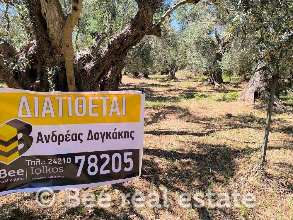 Άποψη εξωτερικού χώρου