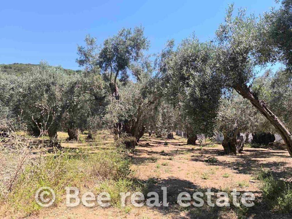 Άποψη εξωτερικού χώρου