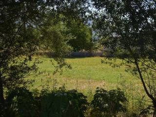 ΑΠΟΨΗ ΑΓΡΟΤΕΜΑΧΙΟΥ