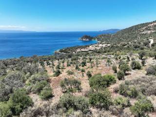 Kataplektike anempodiste thea 180o