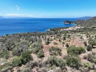 Kataplektike anempodiste thea 180o