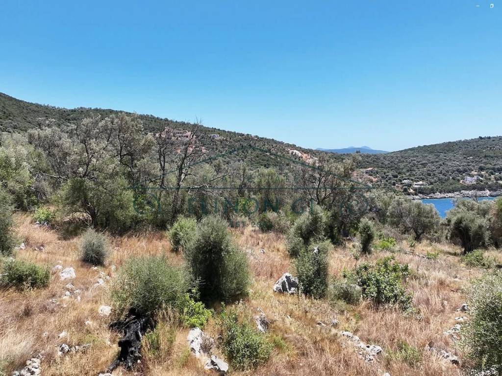 Kataplektike anempodiste thea 180o